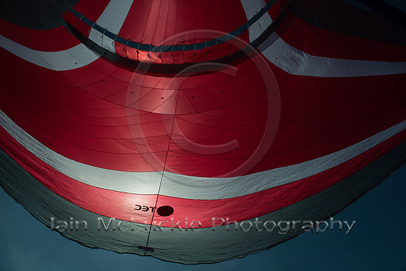800_0176_web