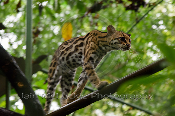 20200122-810_8158