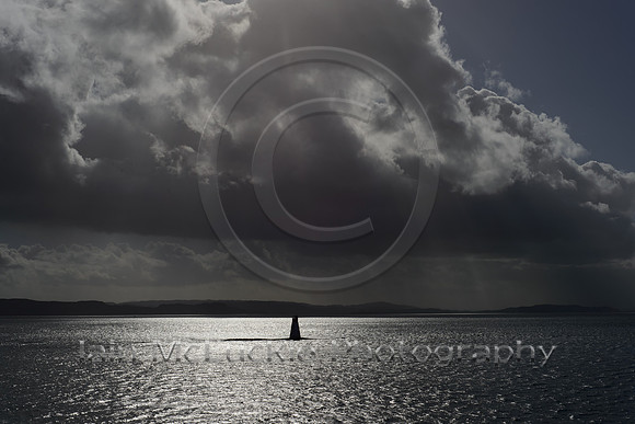 800_2168_print