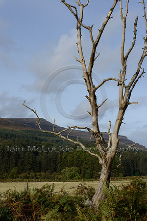 800_2416_print