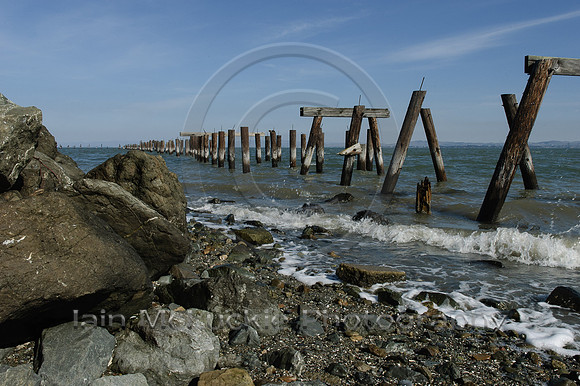 DSC_0038_web