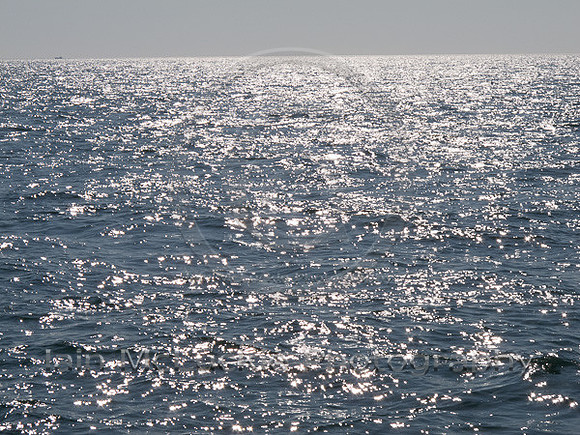 IMG_0782_web