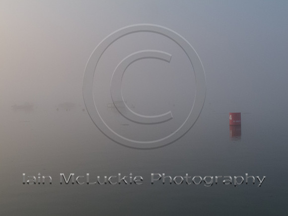 IMG_0575_web